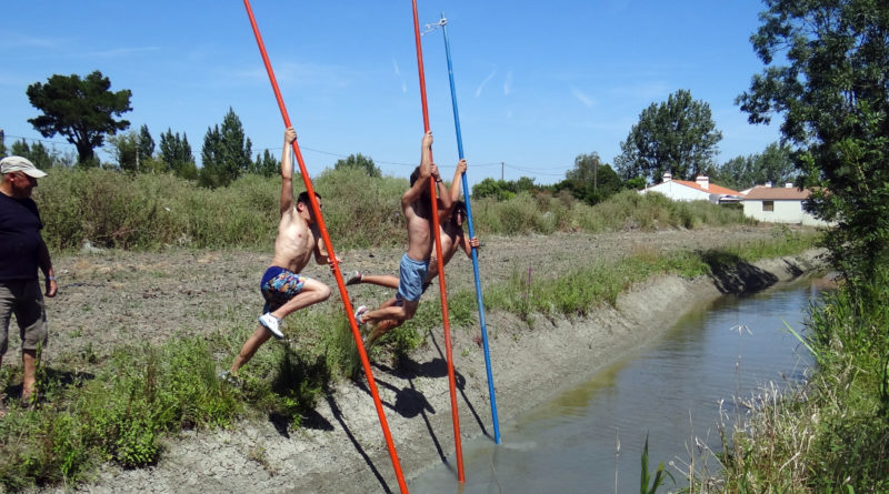 stage ningle été 2019